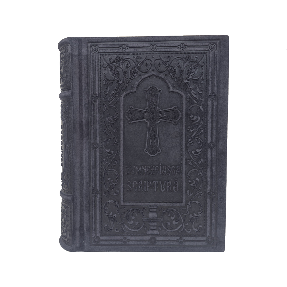 Sfânta Scriptură (Biblia) Serie - imagine 8