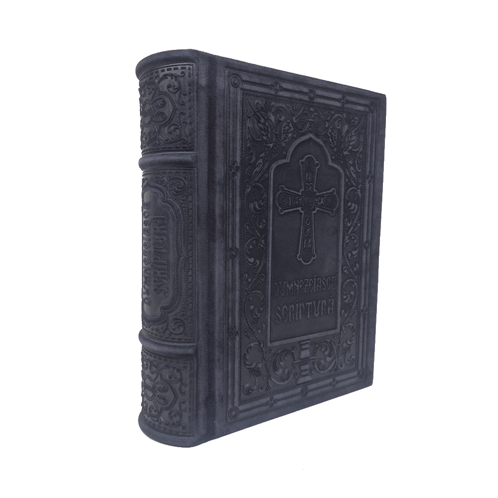 Sfânta Scriptură (Biblia) Serie - imagine 7