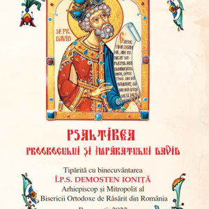 Psaltire B7 Premium - imagine 7