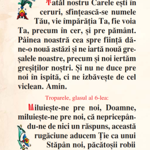 Psaltire B7 Premium - imagine 11