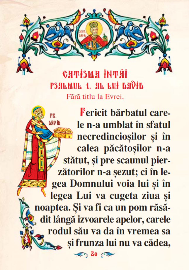 Psaltire B7 Premium - imagine 12