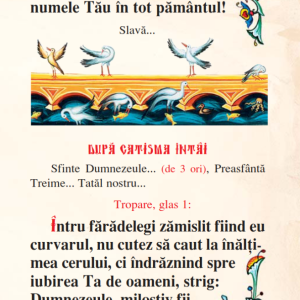 Psaltire B7 Premium - imagine 13