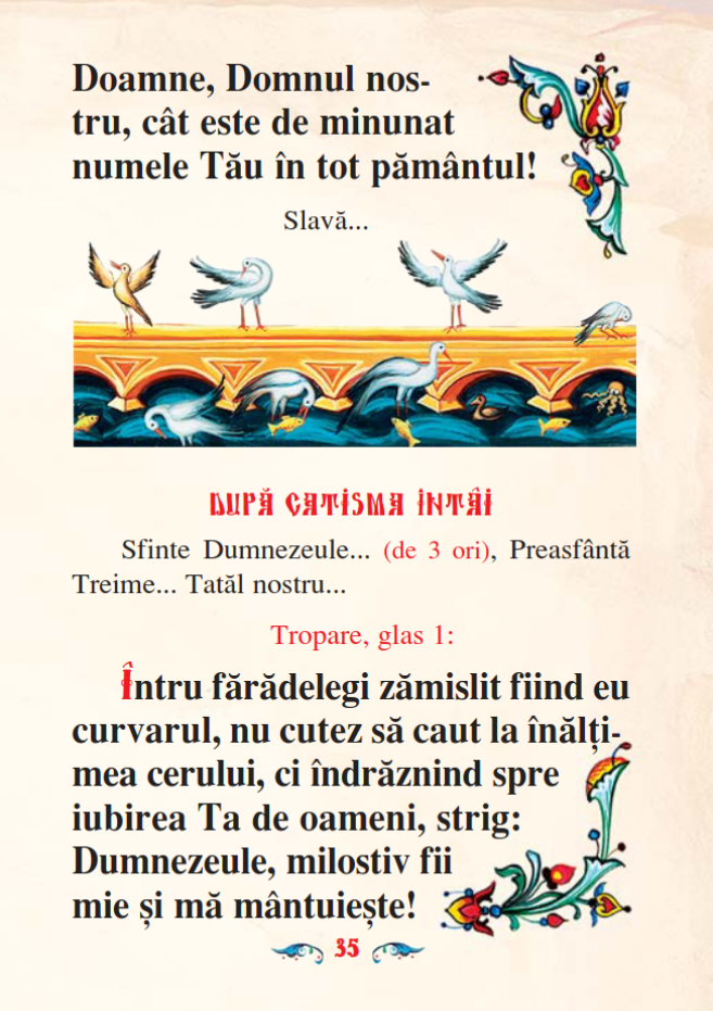 Psaltire B7 Premium - imagine 13